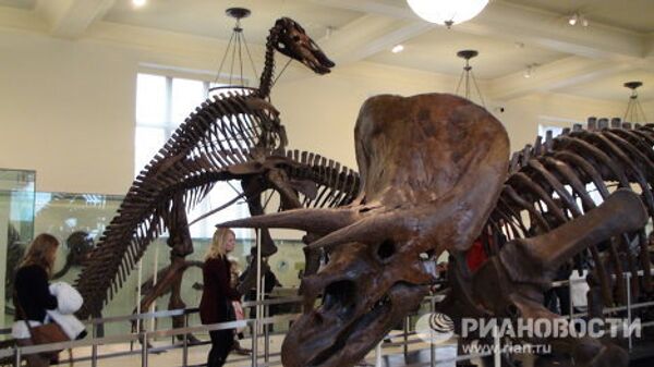 The world’s largest dinosaurs - in New York - Sputnik International