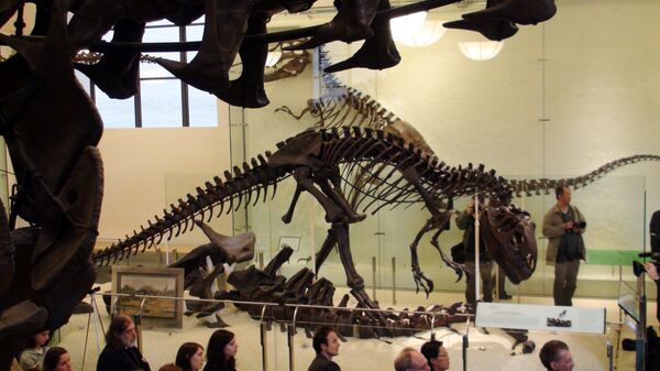 The world’s largest dinosaurs - in New York - Sputnik International