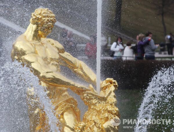 Restored Samson and the Lion Fountain and other fountains of Peterhof Palace  - Sputnik International