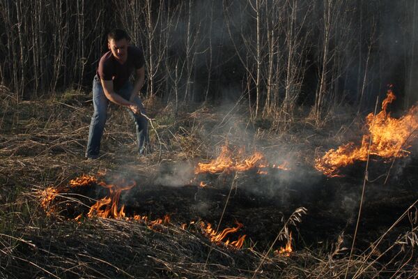 Forest fires spread in Siberia - Sputnik International