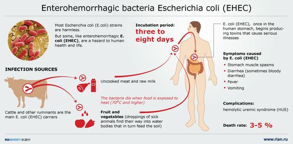 Dangerous enterohemorrhagic bacteria E. coli - Sputnik International