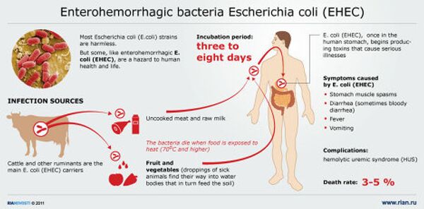 Dangerous enterohemorrhagic bacteria E. coli Dangerous enterohemorrhagic bacteria E. coli - Sputnik International