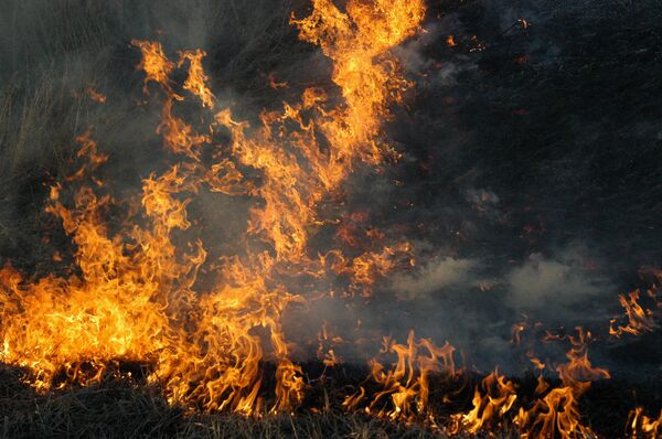 Seventeen people die in New Year fires across Russia - Sputnik International