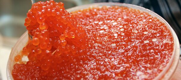 Red caviar Red caviar - Sputnik International