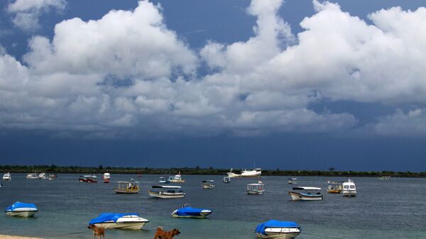 Views of Bali - Sputnik International