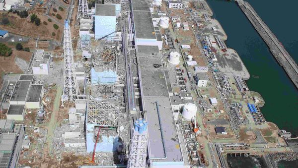 The Fukushima nuclear disaster in the Sea of Japan has not affected the surrounding atmosphere. - Sputnik International