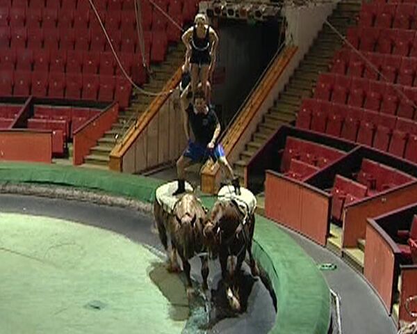 Edgard Zapashny performs unique horse act for Guinness Book of World Records  - Sputnik International