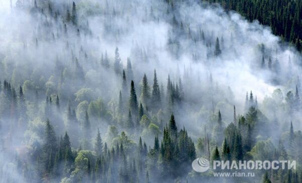 Putting out forest fires in the Krasnoyarsk Territory  - Sputnik International