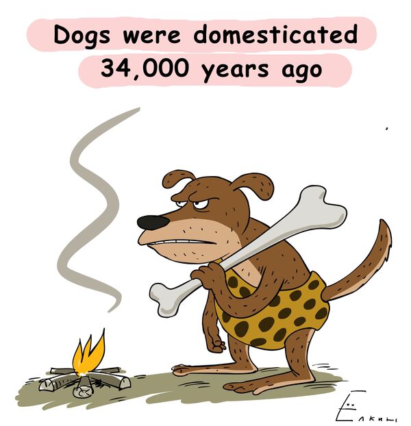 Dogs were domesticated 34,000 years ago - Sputnik International