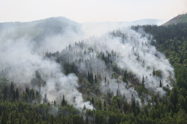 Firefighters battle 11 wildfires in Russia's Far East - Sputnik International