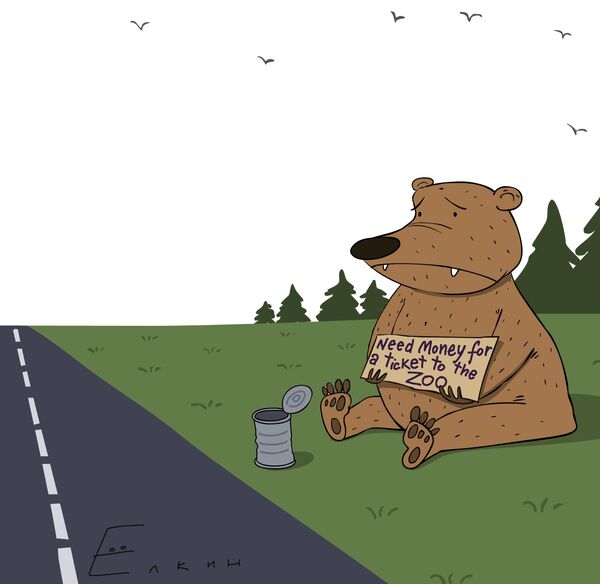 Bear-beggars - Sputnik International
