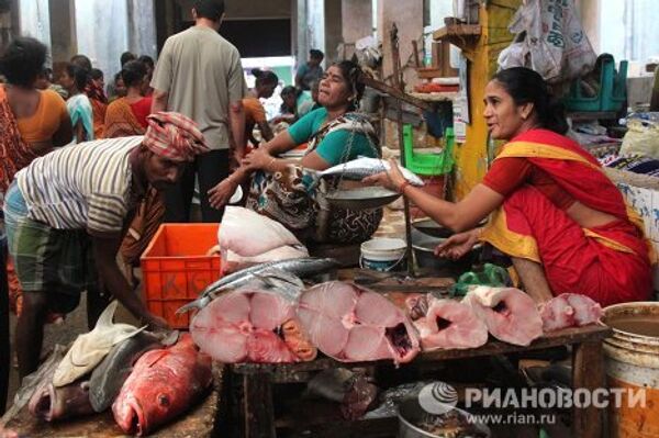 Fish - not bananas or mangoes - are the treasure of Southern India - Sputnik International