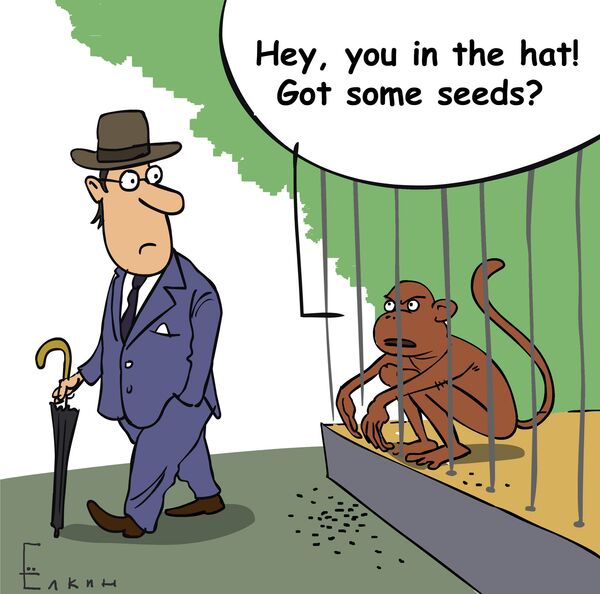 Sunflower for a monkey - Sputnik International