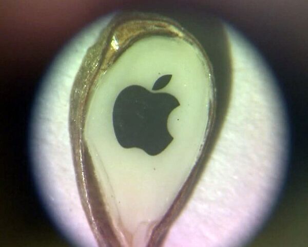 Gift to Steve Jobs from Omsk  - Sputnik International