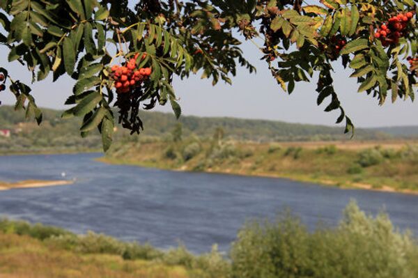 Tarusa: the land of artists on the Oka  - Sputnik International