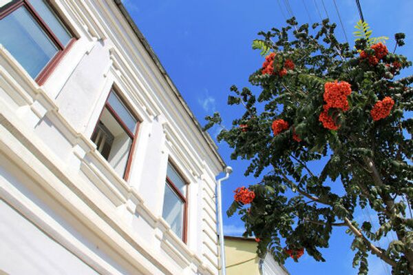 Tarusa: the land of artists on the Oka  - Sputnik International