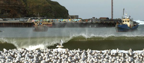 Japanese citizens who previously lived in the southern Kuril Islands, as well as their relatives traveled to Iturup Island on Saturday for an annual visit under the framework of visa-free exchange between Russia and Japan. - Sputnik International