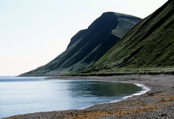 Commander Islands, the land of wind and fog Commander Islands, the land of wind and fog - Sputnik International