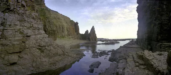 Commander Islands, the land of wind and fog Commander Islands, the land of wind and fog - Sputnik International