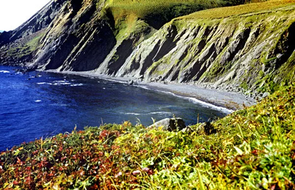 Commander Islands, the land of wind and fog Commander Islands, the land of wind and fog - Sputnik International