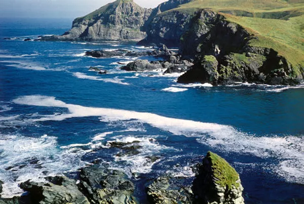 Commander Islands, the land of wind and fog Commander Islands, the land of wind and fog - Sputnik International