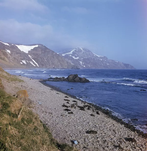 Commander Islands, the land of wind and fog Commander Islands, the land of wind and fog - Sputnik International
