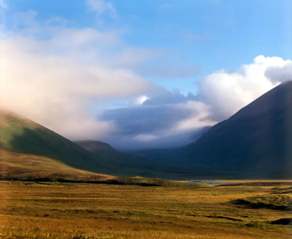 Commander Islands, the land of wind and fog Commander Islands, the land of wind and fog - Sputnik International