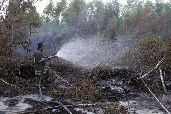 Firefighters extinguish 50 forest fires across Russia in past 24 hours - Sputnik International