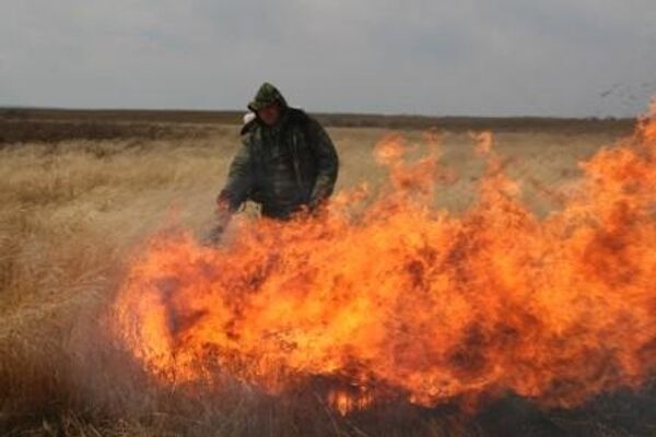 Fire destroys Far Eastern park for rare birds - Sputnik International