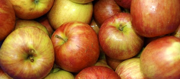 Apples Apples - Sputnik International