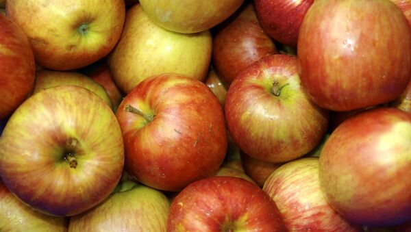 The United States is urging Polish agricultural authorities to speed up procedures, required for the import of fresh apples to America. - Sputnik International