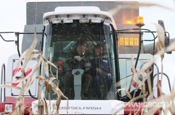 Medvedev, Putin take part in corn harvesting competition - Sputnik International