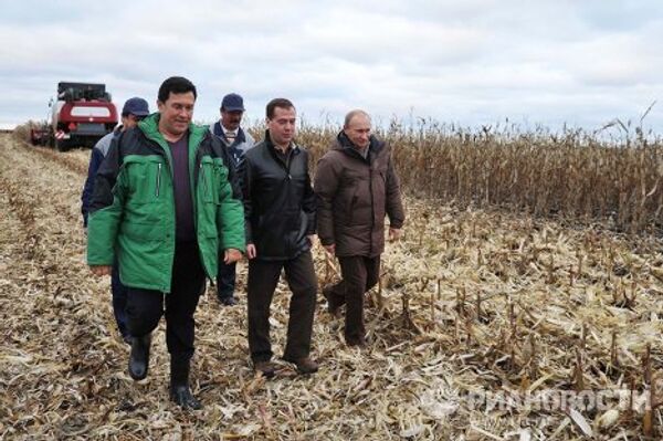 Medvedev, Putin take part in corn harvesting competition - Sputnik International