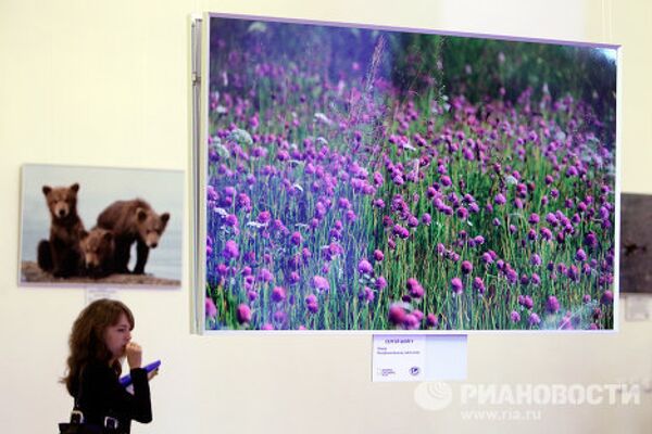 Russian Wildlife: Sergei Shoigu participates in photo exhibition - Sputnik International