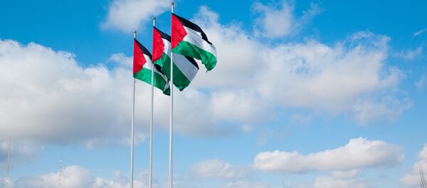 Gerry Adams, the President of Irish Republican Party Sinn Fein and Member the Irish Parliament told Sputnik Friday that the Israeli decision to bar him from entering Gaza illustrates the imperative of supporting Palestinian state. Gerry Adams, the President of Irish Republican Party Sinn Fein and Member the Irish Parliament told Sputnik Friday that the Israeli decision to bar him from entering Gaza illustrates the imperative of supporting Palestinian state. - Sputnik International