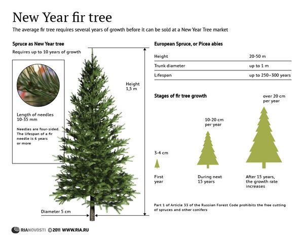 New Year fir tree - Sputnik International