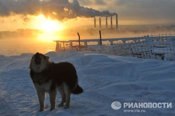 RIA Novosti’s choice: Best photos of 2011 - Sputnik International