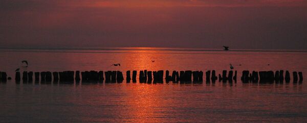 The Baltic sea of Svetlogorsk's coast in Russia The Baltic sea of Svetlogorsk's coast in Russia - Sputnik International