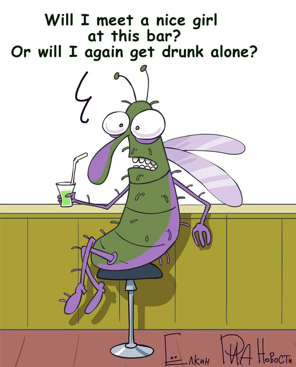 Rejected Flies Turn to Booze - Sputnik International