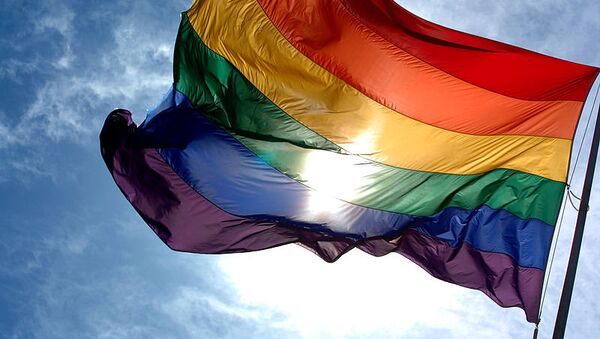 The rainbow flag symbolizes gay pride - Sputnik International