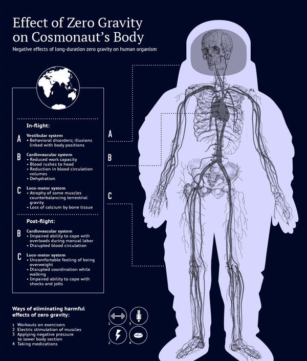 Effect of Zero Gravity on Cosmonaut's Body - Sputnik International
