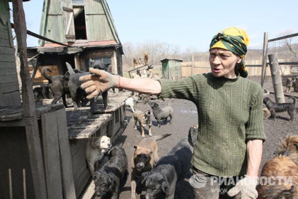 Zoya Andryushchenko and the Animals She Saves - Sputnik International