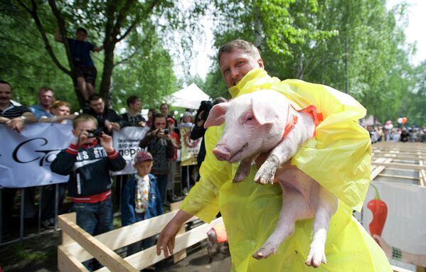 Pig Race in Yekaterinburg  - Sputnik International