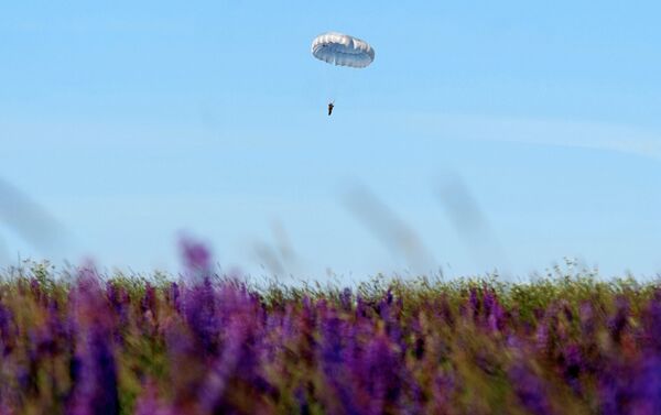 Skydivers: Born to Fly - Sputnik International