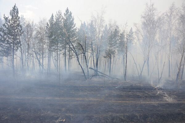 Wildfires in Russia - Sputnik International
