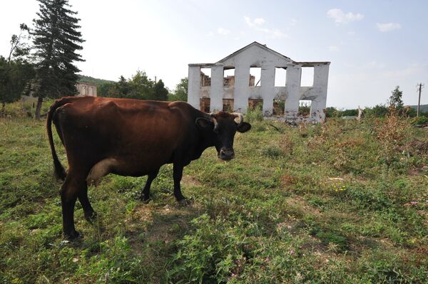 Tskhinvali Four Years After the Events of August 8, 2008 - Sputnik International