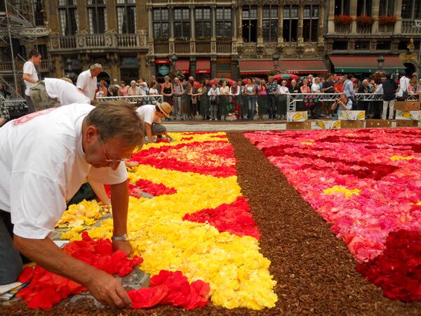 Flower Carpet on Brussels Main Square  - Sputnik International