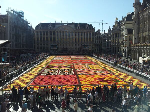 Flower Carpet on Brussels Main Square  - Sputnik International
