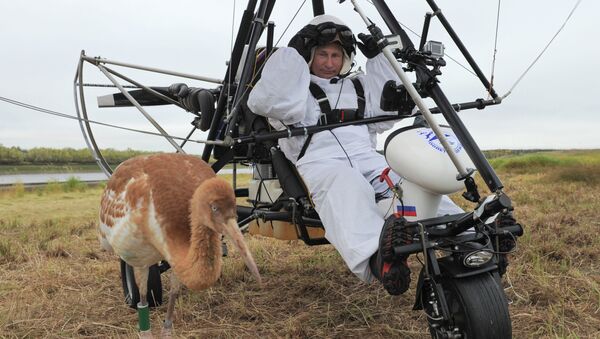 Russian President Vladimir Putin takes part in The Flight of Hope project - Sputnik International