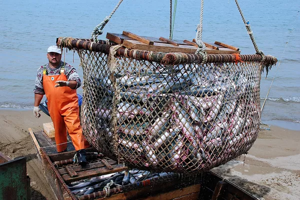 China’s Pacific Andes Ordered to Sell Russian Fishing Assets         - Sputnik International